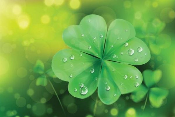 Four-Leaf Clover Biblical Meaning