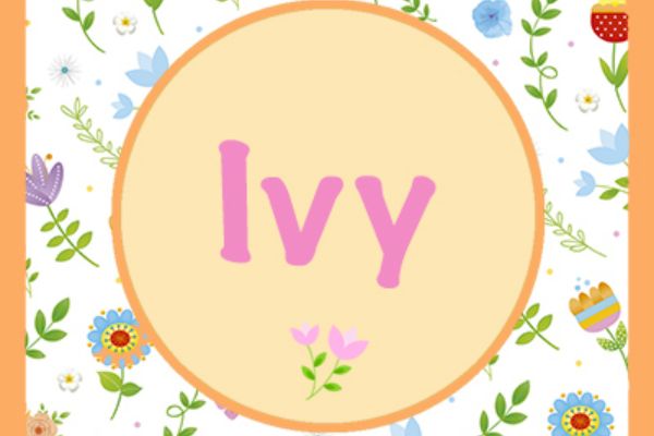 Ivy Biblical Meaning