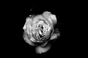 biblical meaning of black and white